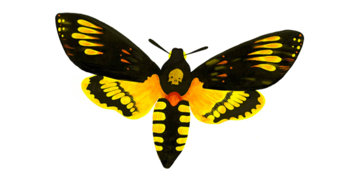 Why The Moth Logo Good Grief